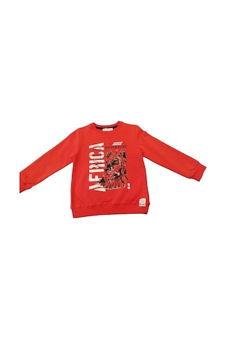 Nk Kids Erkek Çocuk Pamuklu Aslan Baskılı Sweatshirt-11226-mercan Mercan