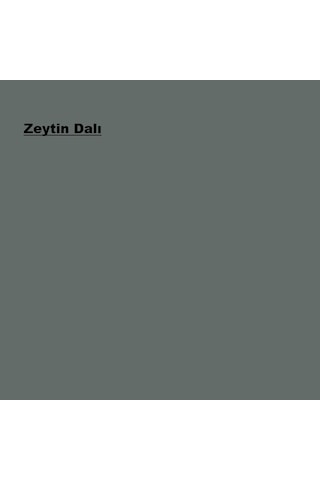 Marshall Solvent Bazlı Panel Kapı Boyası Zeytin Dalı 2,5l