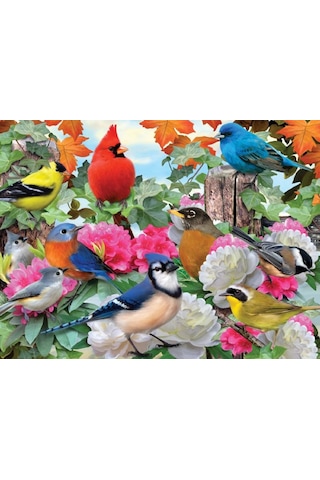 Ravensburger 500 Parça Puzzle Bahçe Kuşları