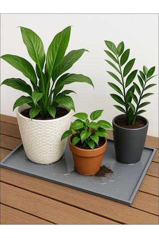 Silikon Saksı Altlığı Ve Viyol Tepsisi 60x40 Cm - Su Geçirmez Bitki Koruyucu Mat, Fide Yetiştirme Ve Çiçek Altlığı, Yükseltilmiş Kenarlı Saksı Tabla
