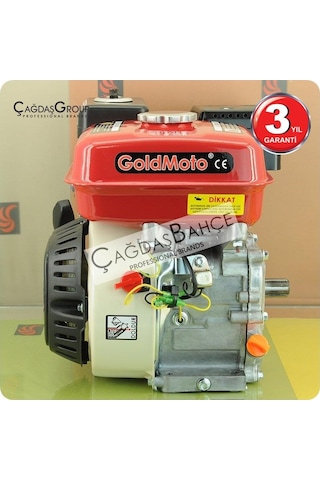 Goldmoto Gm200F25 Benzinli Motor 6.5 Hp Krank Mili Frezeli 25Mm