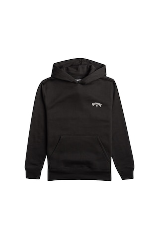 Billabong Arch Po Erkek Sweatshirt Ebyft00105