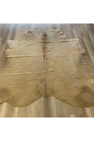 Hoom Rugs Dana Derisi P09 3,45m2