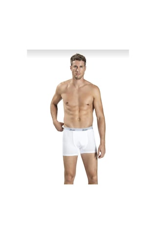 Jiber 156 Erkek Boxer Likralı Şort Tekli 001