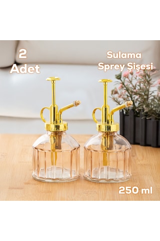 Perotti 15733 2li Pembe Vintage Cam Bitki Sulama Şişesi Sulama Ka