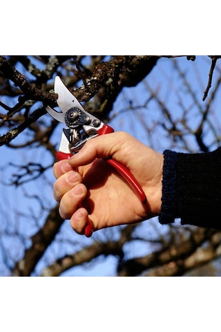 Felco 8 Budama Makası ve Felco Bere - 111644