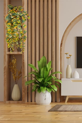 Yapay Çiçek Sarkan Lüx Okaliptus Sonbahar Rengi Yapay Sarmaşık 60 25cm