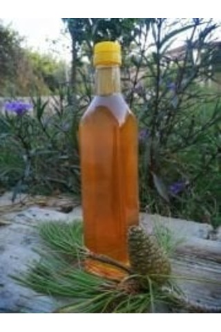 El Yapımı Yeşil Çam Kozalağı Sirkesi 500 ML