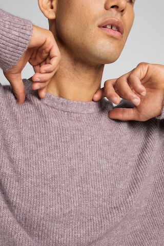 Lee Regular Fit Normal Kesim Bisiklet Yaka Mor Triko Kazak L83ZDD70 Mor