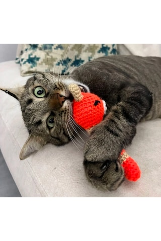 Everypet Catnipli Amigurumi Sesli Kedi Köpek Diş Kaşıma & Isırma
