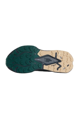 The North Face M Altamesa 500 V2 Erkek Ayakkabısı Nf0a8dajtsu1 Çok Renkli