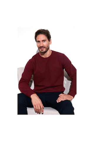 Buratti Slim Fit Bisiklet Yaka Pamuklu Erkek Kazak 456201 Mürdüm