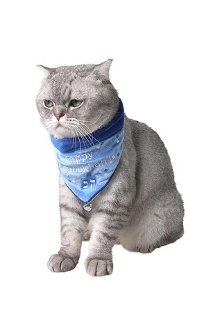 Homyl Köpek Kedi Tükürük Havlusu Üçgen Önlük Mavi