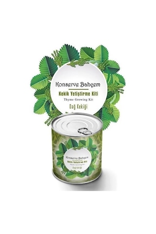 Buffer Konserve Bahçem Evde Konservede Kekik Dağ Kekiği Yetiştirme Kiti Mavi