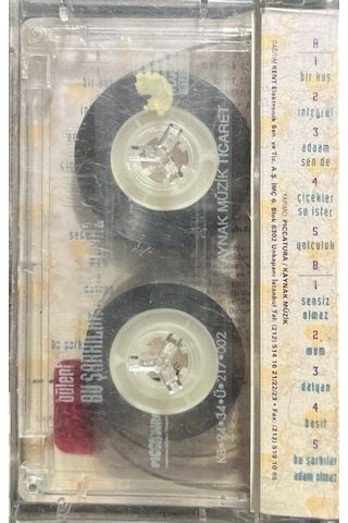 Plak Değildir Kaset Tir Kaset Bülent Ortaçgil Bu Şarkılar Adam