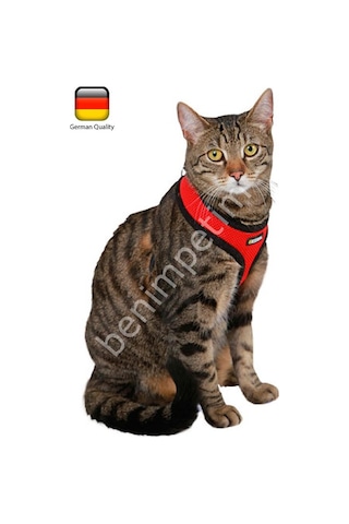 Kedi Gezdirme Tasması 120 CM Kayışlı Kırmızı