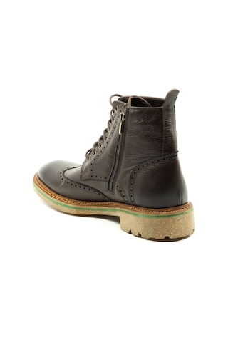 Dexter Ko9586-26