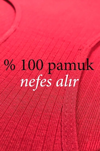 Royaleks 4 Adet Kadın Yüksek Bel Ribana Bato Külot S014 RYL-ARHMABT4014 Çok Renkli