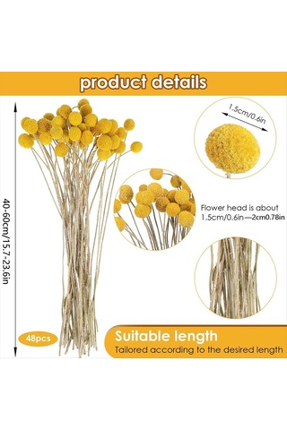 Gatherco 48 Adet Kurutulmuş Çiçekler Kurutulmuş Billyballs Kurutulmuş Craspedia Çiçekleri Düğme Sarı Kurutulmuş Çiçekler Sahte İpek Kurutulmuş Çiçek
