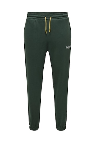 Only & Sons Onsrıley Reg Sweat Pants Vd Zümrüt Yeşili 22030142 Cok Renklı