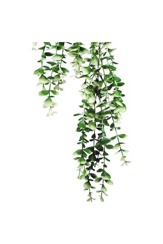 Özel Tasarım İki Renkli Elmas Beyaz Saksılı Saksılı Beyaz - Yeşil Okaliptus Sarkıtı Beyaz-Yeşil