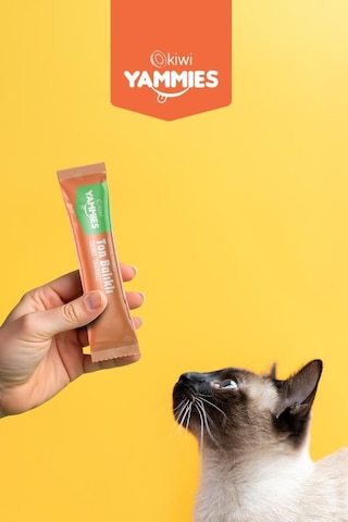 Kiwi Pets Sıvı Kedi Ödül Maması 15 Gr 60 Adet