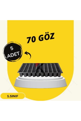 Fide Viyol 5 Adet 70 Göz Fide Viyolü Fidan Altlığı Fidelik