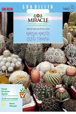 Miracle Karışık Kaktüs Bitkileri Çiçeği Tohumu 900 Tohum