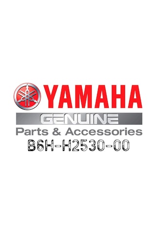 Yamaha Nmax 125-155 2021-24 Arka Fren Müşürü