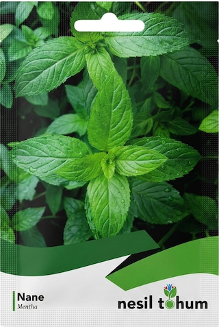 Nesil Tohum Nane Mentha Tohumu 10 Gr