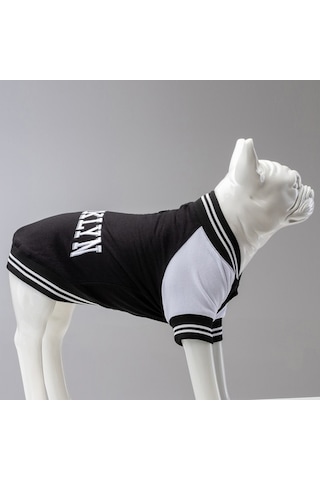 College Brooklyn Küçük Orta Ve Büyük Irk Köpek Sweatshirt