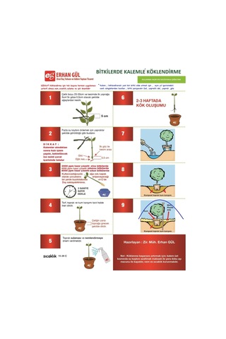 Çelik Köklendirme Hormonu 4000 Ppm Dal Köklendirme Hormonu 100ML