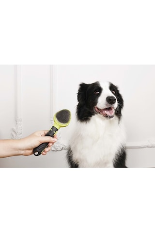 60107099 M-pets Clıck And Groom Kedi Ve Köpek İnce Telli Fırça