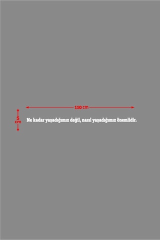 Oto Cam Yazı Sözleri Ticari-servis-dolmuş-panelvan Uzun Sticker Model 12