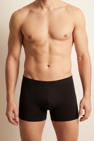 Auw Erkek Kıvırma Bel Pamuklu Modal Basic Boxer 3'lü - Softfit Siyah