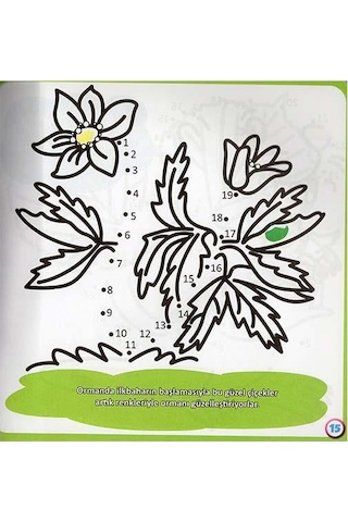 Çiz ve Boya - Orman- Parıltı Yayınları