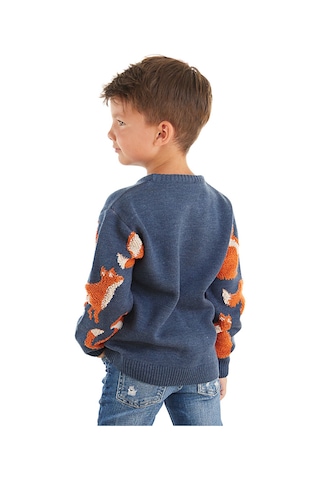 Denokids Tilki Erkek Çocuk Lacivert Uzun Kollu Triko Kazak