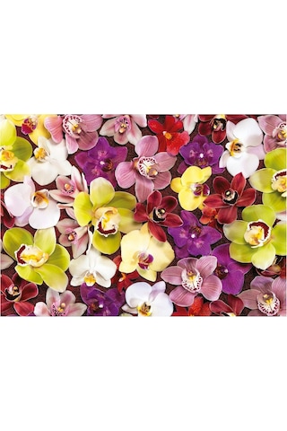 Educa 1000 Parça Orkide Çiçek Kolajı - Orchid Collage - 19558