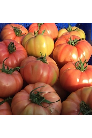 Yüksek Aromalı Gülizar Dilimli Etli Pembe Köy Domates Fidesi 4 Adet