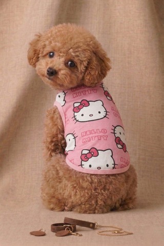 Hello Kitty Baskılı Kedi Köpek Penyesi - Yumuşak Dokulu Pembe Tişört