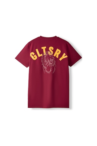 Gsstore Galatasaray Erkek T-shirt E261085 Bordo