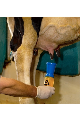 Ambic Sağım Sonrası Meme Daldırma Kabı-Sarı-İngiliz  Menşei