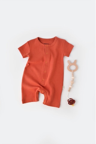 BabyCosy Organik Kısa Kollu Tulum Tarçın - Csyw1015 - Rebebe Tarçın