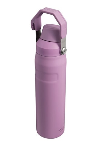 Iceflow Fast Flow Soğuk Su Termosu 0.6l Lila