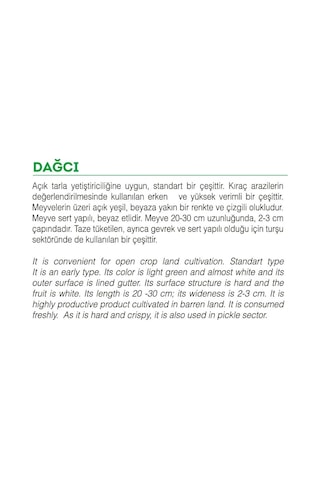 AGRodal Tarım Ata Tohumu Yerli Doğal Acur Köy Tipi 100 Adet Tohum