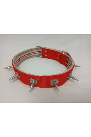 Kozaklı 10459 Çivili Süslü Köpek Tasması Turuncu 70 x 4 CM Turuncu