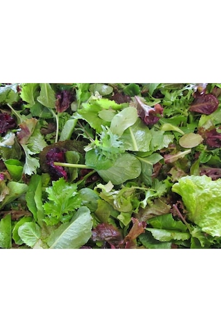 Şifalı Baharlı Salata Tohum Karışımı