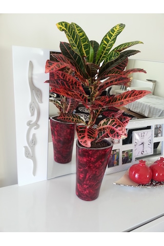Sedef Kaplama Malzemesi Kırmızı 35x160 Cm Boyutlarında Bordo - Kırmızı