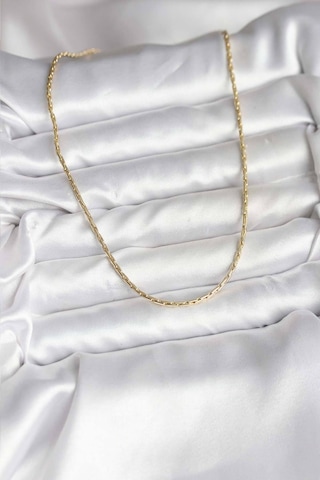 14k Gold Renk Kaplama İnce Zincir Model Cm Kadın Kolye Altin