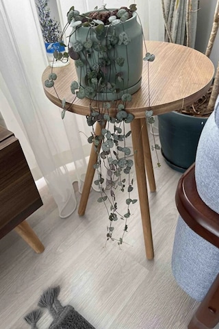 Tekli Yan Sehpa Çiçeklik Saksılık Standı Dekoratif Yan Sehpa Seti Ahşap Ayaklı 33 Cm Çap - Atlantik Çam Atlantik Çam